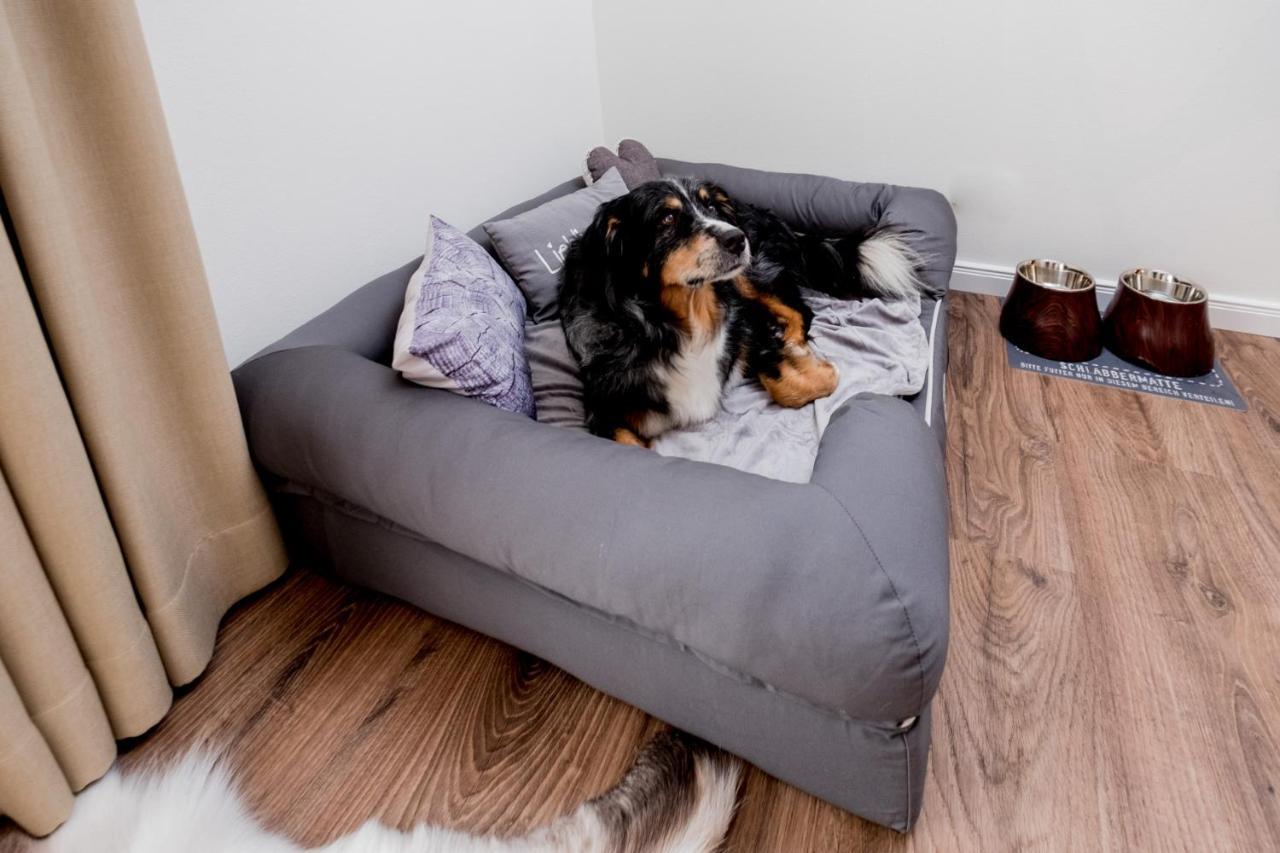 Landhaus Schulze - Ihr Hundefreundliches Hotel Im Harz Херцберг-ам-Гарц Экстерьер фото
